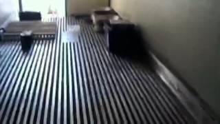 2001 trailer air ride