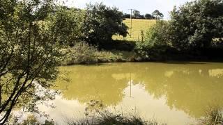 WEEK FARM, BRIDESTOWE, OKEHAMPTON, DEVON