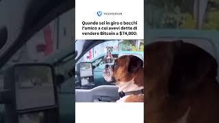 Bitcoin e gli amici