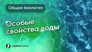 Тема 8: Особые свойства воды