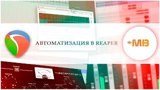 АВТОМАТИЗАЦИЯ в REAPER