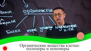 Органические вещества клетки: полимеры и мономеры. 8 класс.