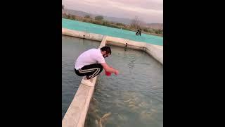 khabib feeding fish