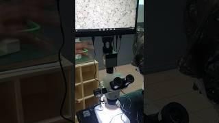 Polarizing Microscope