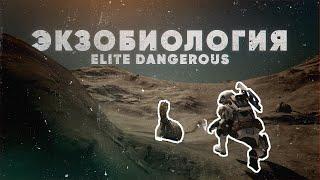 ЭКЗОБИОЛОГИЯ | ELITE DANGEROUS: Odyssey | Гайд для новичков