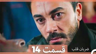 Zarabane Ghalb - ضربان قلب قسمت 14 (Dooble Farsi)