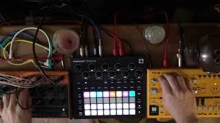 DAWless jam on Circuit Tracks, Behringer Crave and TD-3