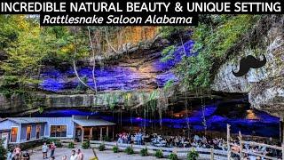 The Amazing RattleSnake Saloon of Alabama - Wahoo!