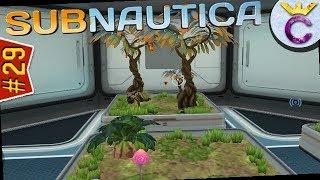 Домашние грядки и бесконечный источник еды и воды - Subnautica #29