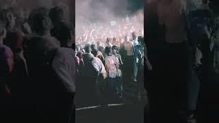 https://displaypurposes.com