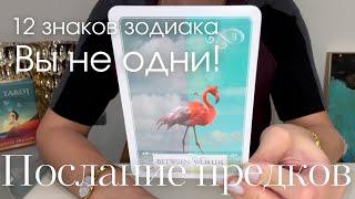 Послание от Предков : 12 знаков зодиака - "Вы не одни!" | 2024