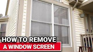 How To Remove A Window Screen - Ace Hardware