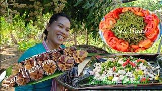 Kinilaw na isda, Sea Grapes at Sea Urchin w/ Fishing Brothers