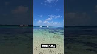 #travel #서호주 #섬 #바다 #퍼스 #로트네스트섬