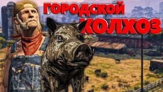 ГОРОДСКОЙ КОЛХОЗ в GTA RP  КАБАН СУЕТОЛОГ на MAJESTIC RP