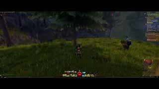 Forest Wisp Infusion Showcase - Guild Wars 2