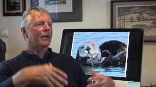Jim Estes | Historical Perspectives Interview Excerpt | Aquatic Mammals