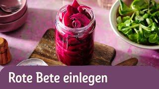 Rote Bete einlegen – für vielseitige Veganuary-Rezepte  | REWE Deine Küche