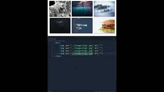 Image Gallery in HTML/CSS #shorts  #youtubeshorts #viral  #html