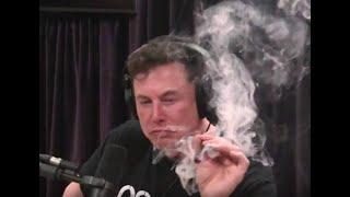 ELON MUSK! SMOKES. DRINKS. INTERRUPTS! TWITTER! DIVE BARS!  HOLLYWOOD'S TIKI TI!!  SHEL TALMY LIVE!!