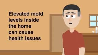 Greensboro and Raleigh Home and Mold Inspections