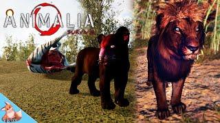 Life and Death of an Elder Lion in Animalia Survival pt2