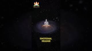 Chakra Healing with Homeopathy: Unlock Your Energy Flow & Restore Balance