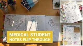 Medical student notes flip through (1st semester)