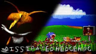 POOR TAILS IS GONE BY ACCIDENT PLANE | Dissipated Hedgehog