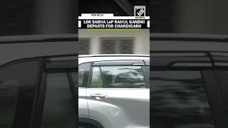 Lok Sabha LoP and Congress MP Rahul Gandhi departs for Chandigarh today to attend two events