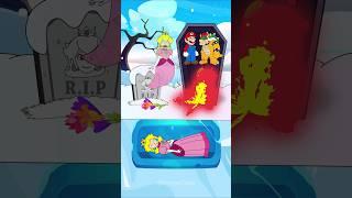 Can You Really Rescue Princess Peach?