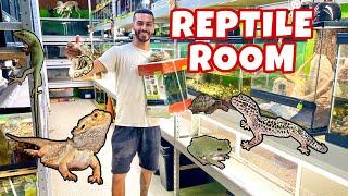 CRAZIEST BEST FAMILY OWNED PET SHOP IN FLORIDA! *HANDS DOWN!*