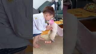 A Boy’s Dream: Healing One Dog at a Time #dog #pets #cute