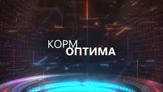 Корм Оптима - программа формулирования рационов №1