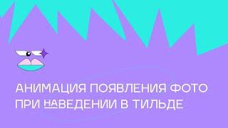 Анимация появления фото при наведении в Тильде