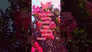 Собор Всех Святых #святые #соборвсехсвятых #деньвсехсвятых