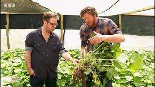 Tim Anderson visits The Wasabi Company for Saturday Kitchen