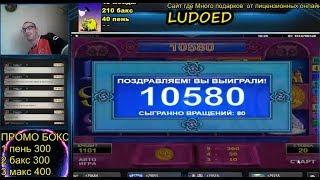 LUDO ED 8 Ретригеров АМАТИК