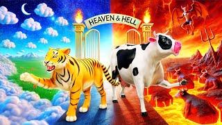 Heaven or Hell?  Cow vs. Tiger in a Wild Battle for Survival - Epic Wildlife Adventure!