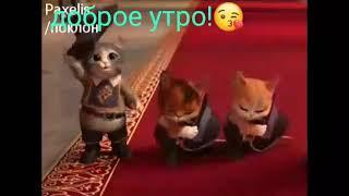 доброе утро