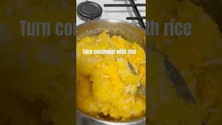 Did you know that Turn cornmeal use to be food for dogs #cooking #dog