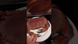 BIG FISH YouTube FISHING BIG CRAB #fishing #bigfish #bigcrab