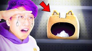 LANKYBOX'S MERCH WAS STOLEN!? (HELP US FIND IT!) *OUR FAVORITE TOY UNBOXING EVER!*