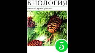 § 3 Разнообразие живой природы. Царства живых организмов.