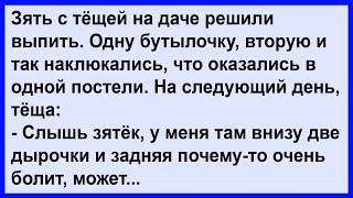 Зять с тёщей так наклюкались, что оказались в одной... Сборник! Клуб анекдотов!