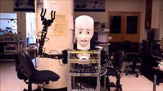 Expressive Multi-modal Interaction and Communication with a Mobile Humanoid Robot