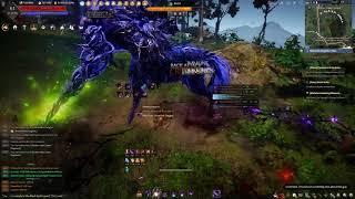 BDO Dark Knight VS Dark Rift Boss Ronin