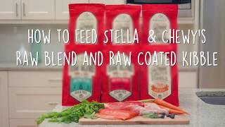 How to Feed Stella & Chewy's Raw Blend and Raw Coated Kibble Dog Food