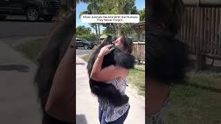 When Animals Reunite With the Humans They Never Forgot…  #animalrescue #rescue #wildliferescue