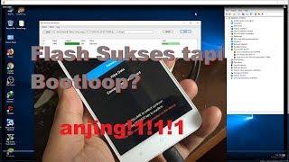 Tutorial Flash Redmi 5 Plus Vince 100% Work